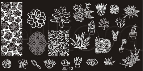 Kaktusz és egyéb virágok  nyomda lemez UR-13